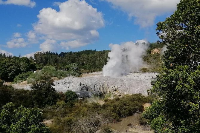 4-Day Wellington to Auckland via Rotorua Tour - Day 3: Waitomo glowworm caves boat ride plus Hobbiton Shire magic