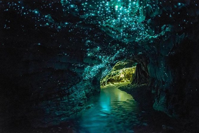4-Day Wellington to Auckland via Rotorua Tour - Hotels and transportation style: smooth links, but not a single “tour guide bubble”