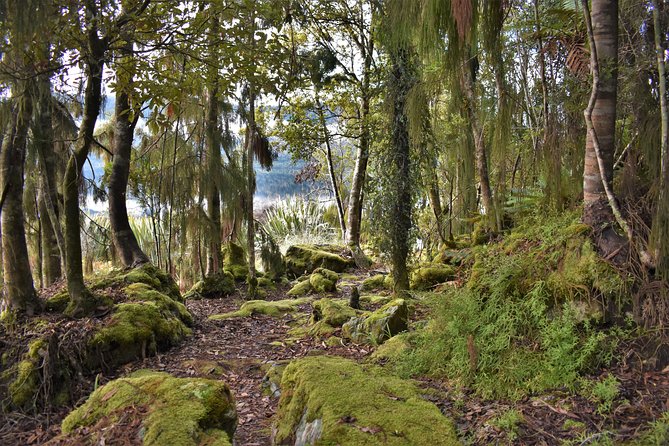 4-hour Lake Mapourika Kayak and Hike adventure, with Okarito Kiwi Sanctuary - Guides really shape the day: names you may hear