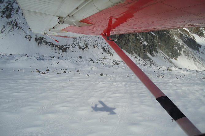 45-Minute Glacier Highlights Ski Plane Tour from Mount Cook - Small details that matter on the day: check-in and group size