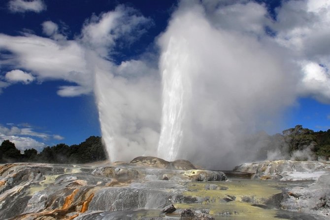 5-Day New Zealand North and South Island Highlights Tour - Price and value: what $1,364.64 buys you (and what it does not)
