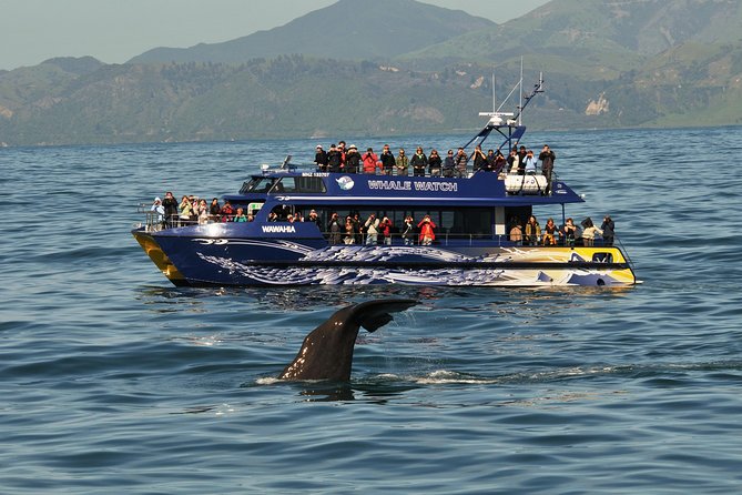 5-Day New Zealand North and South Island Highlights Tour - The reality of independent touring: how it feels day to day