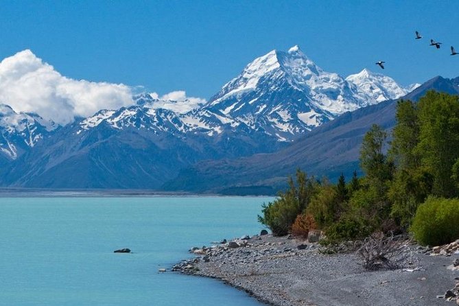 5-Day South Island Tour from Christchurch - Day 2: Lake Wakatipu to Te Anau, Fiordland Stops, then Milford Sound by Cruise