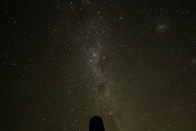 5 Day South Island Tour from Queenstown including Stewart Island - Key Points I’d Prioritize