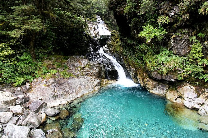 5 Day South Island Tour from Queenstown including Stewart Island - Day 3: Bluff to Stewart Island by Ferry, Then Back to Queenstown