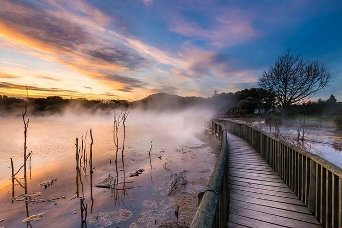 6.5 hour Small-Group Rotorua Naturally Shore Excursion - Tauranga - Key highlights worth your attention