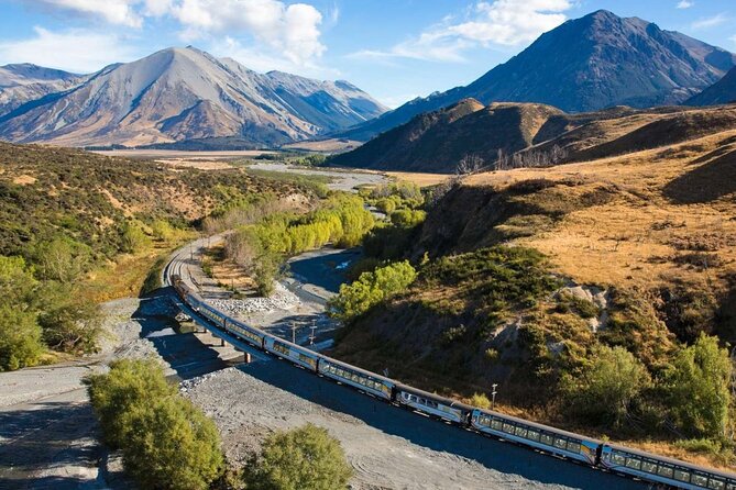 6 Day South Island New Zealand Private Tour from Auckland - Day 4: Queenstown gardens, Skyline gondola, and adding the adrenaline