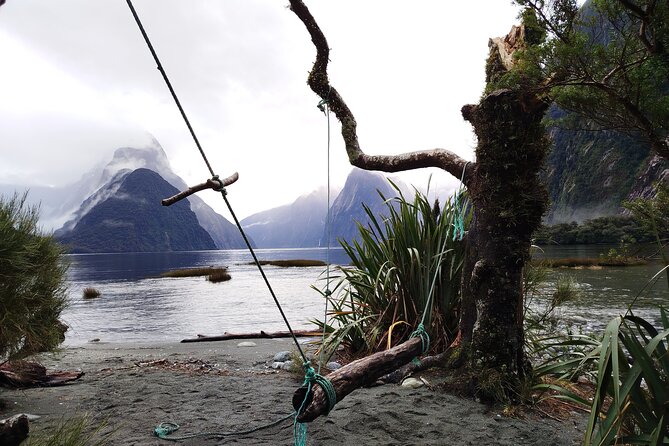 6 Day South Island New Zealand Private Tour from Auckland - Day 6: Te Anau glowworms, then Kiwi Park or a private hot soak