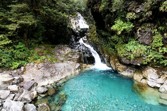 6 Day South Island New Zealand Private Tour from Auckland - Optional hotels and ticket upgrades, and how to choose smartly