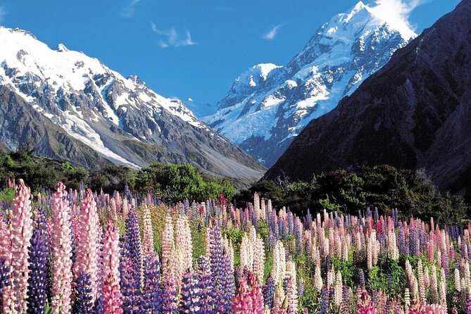 6-Day South Island Southern Heritage Tour from Christchurch - Queenstown arrives via Lindis Pass and Cromwell fruit country