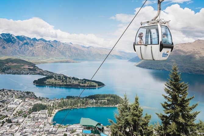 6-Day South Island Southern Heritage Tour from Christchurch - Dunedin Harbour wildlife cruise: what to expect from the viewing style