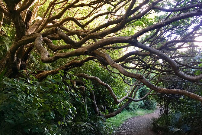 6 Hours Sightseeing Tour in Auckland - Key Points You Will Care About Before You Go