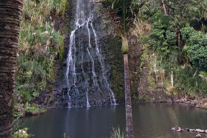 6 Hours Sightseeing Tour in Auckland - Soljans Estate Winery (and Hallertau): Tastings Included, Lunch On You
