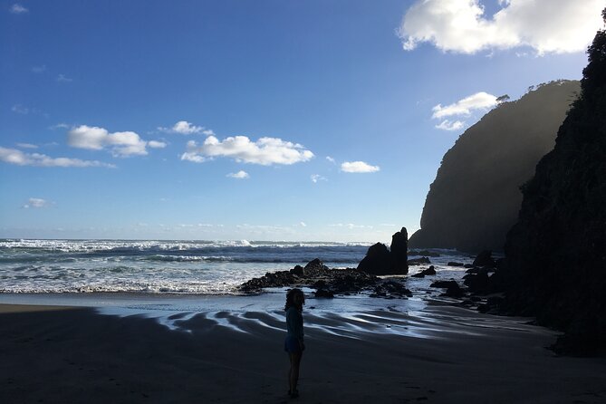 6 Hours Sightseeing Tour in Auckland - What the Included Wine Tasting Really Means for Your Day