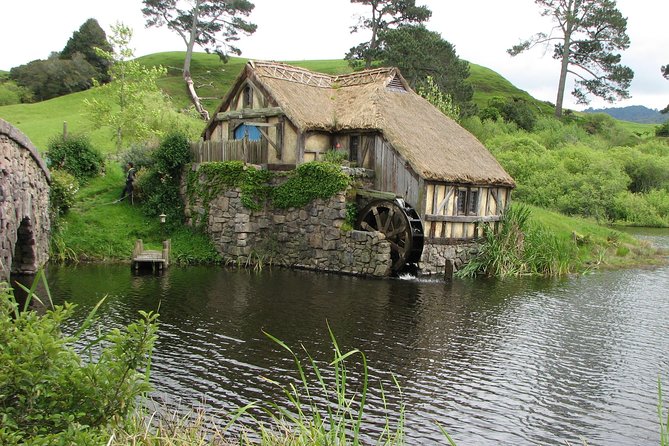 6hr Hobbiton Movie Set Tour - Departs Tauranga - Price and value: what $160.73 buys you from Tauranga