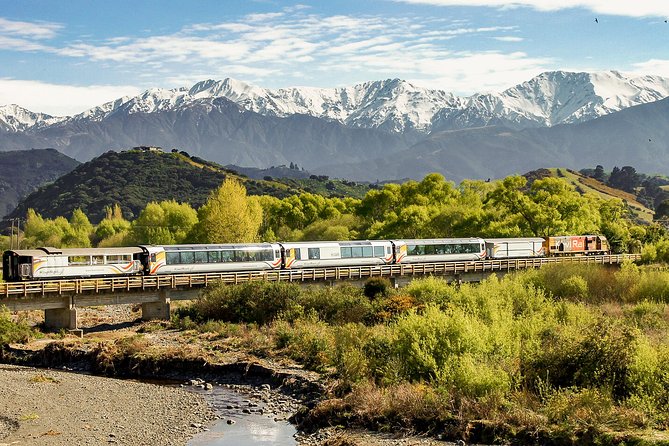 7 - Day North to South Island Grand Tour - Auckland to Queenstown - Quick hits you’ll care about