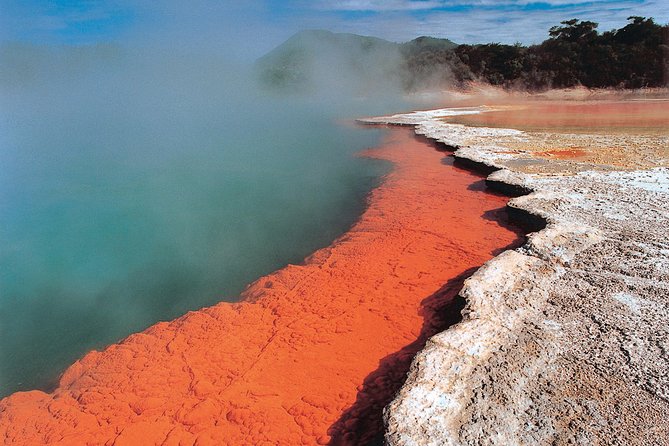 7 - Day North to South Island Grand Tour - Auckland to Queenstown - Kaikoura whale watch plus a possible Waipara winery stop
