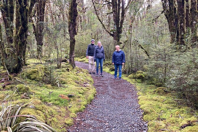 7-Day South Island Coastal Splendor Tour from Christchurch - Franz Josef Glacier: the easy win stop that still feels memorable