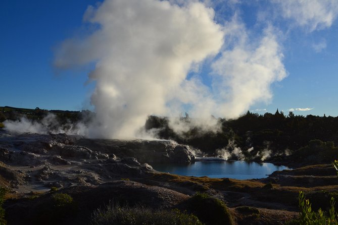 7 Hours Te Puia Rotorua Tour from Tauranga with Concert - Key Points Worth Your Time