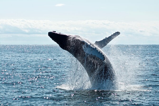 8 Day Southern Crossing Small Group Tour - Entering the Tour: Christchurch to Start Smooth, Not Stressed