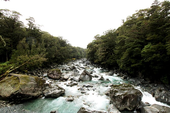 9 Day South to North Island NZ Private Tour from Queenstown - Christchurch side quests and an international center stop, depending on time