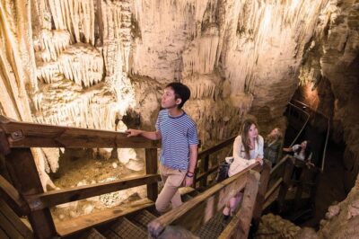 90-Minute Guided Ruakuri Cave Tour Waitomo