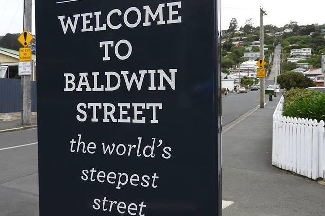 A 2 hour Small Group Dunedin City Highlights Tour - Key Things You Should Know Before You Go