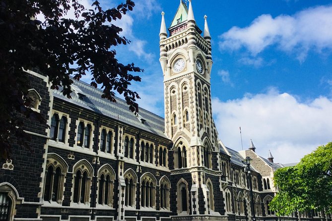 A 2 hour Small Group Dunedin City Highlights Tour - Why this 2-hour Dunedin city highlights loop works