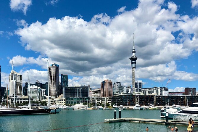 A Self-Guided Walking Tour of Auckland's Hidden Stories - Key Highlights (What Makes This Walk Worth Your Time)