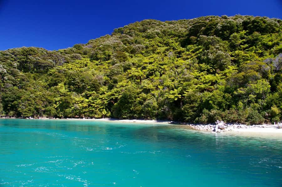 Abel Tasman National Full Park Scenic Cruise - Practical Tips for Better Photos and a Smoother Ride