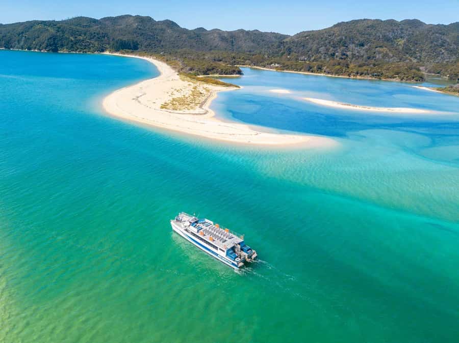 Abel Tasman National Full Park Scenic Cruise - Why the Lack of Beach Stops Can Still Feel Like a Win