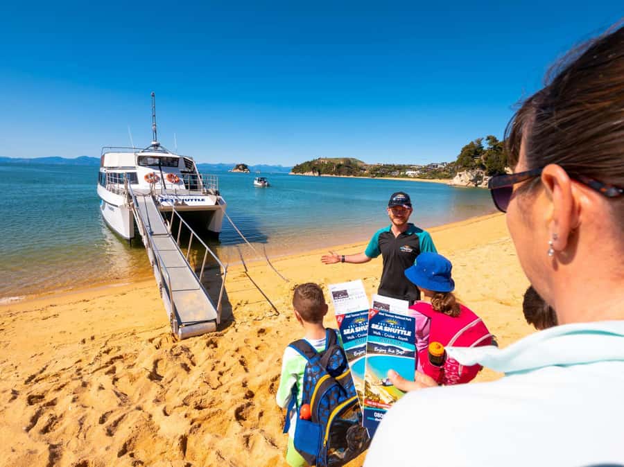 Abel Tasman National Full Park Scenic Cruise - NZ Fur Seals: The Wildlife Part That Makes This Cruise Feel Alive