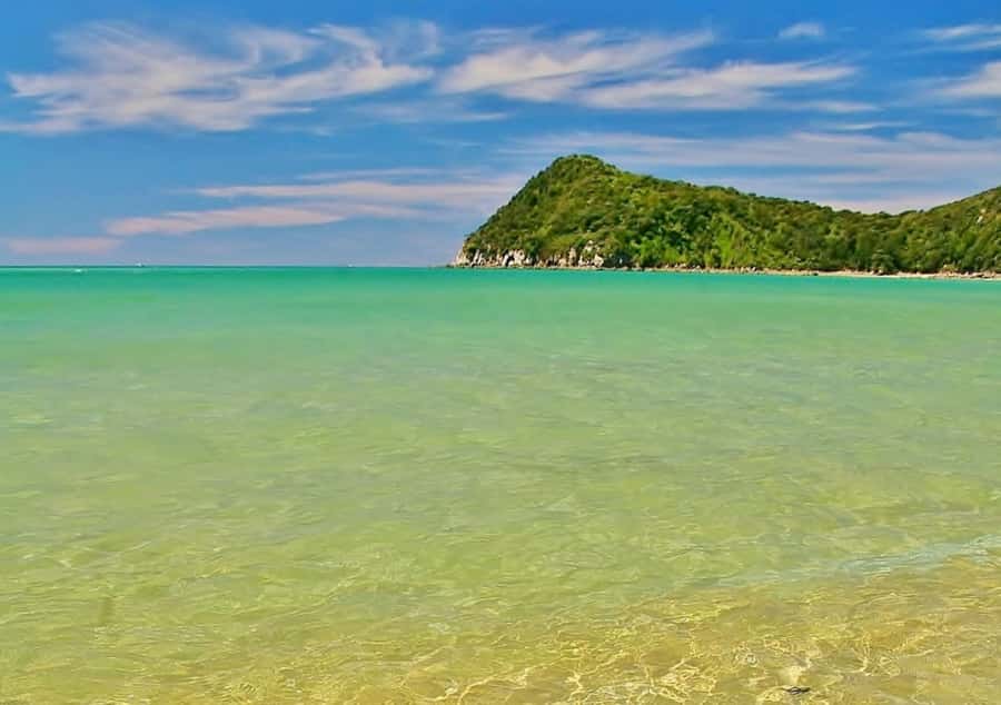 Abel Tasman National Full Park Scenic Cruise - The Live Guide Style: Helpful, Calm, and Funny When It Counts