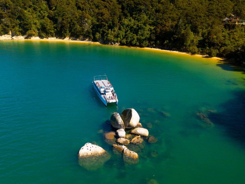 Abel Tasman National Full Park Scenic Cruise - Price and Value: Is $59 Worth It?