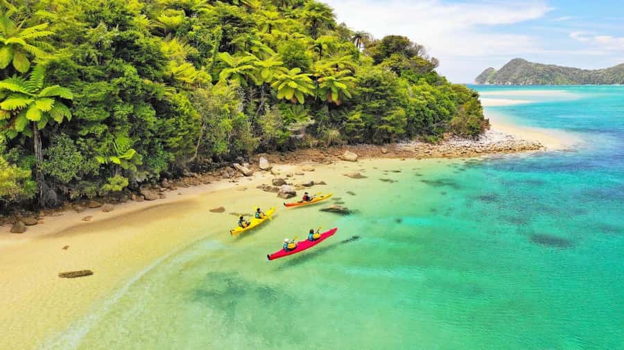 Abel Tasman National Park: Cruise, Kayak, & Hike Tour - Adele Island wildlife sanctuary: seals, birds, and a simple rule set