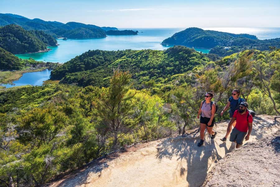 Abel Tasman National Park: Cruise, Kayak, & Hike Tour - The coastal walk to Anchorage: native bush, big ferns, and viewpoint payoffs