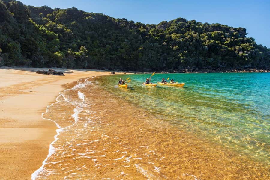 Abel Tasman National Park: Cruise, Kayak, & Hike Tour - What to pay attention to on the day (so you enjoy it more)