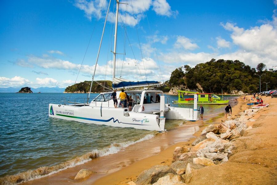 Abel Tasman National Park: Cruise, Walk & Sailing Tour - Price and value for a 6-hour day at sea ($122)