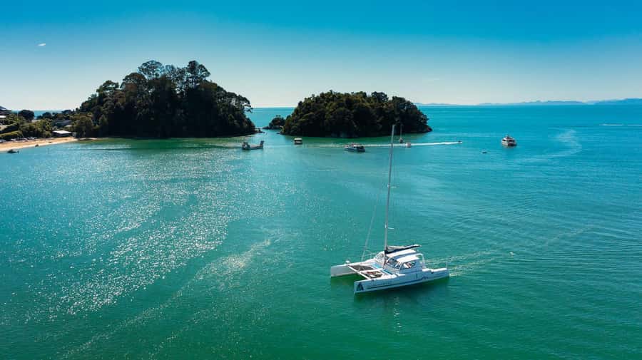 Abel Tasman National Park: Cruise, Walk & Sailing Tour - Pitt Head loop track: easy walking with panoramic payoff