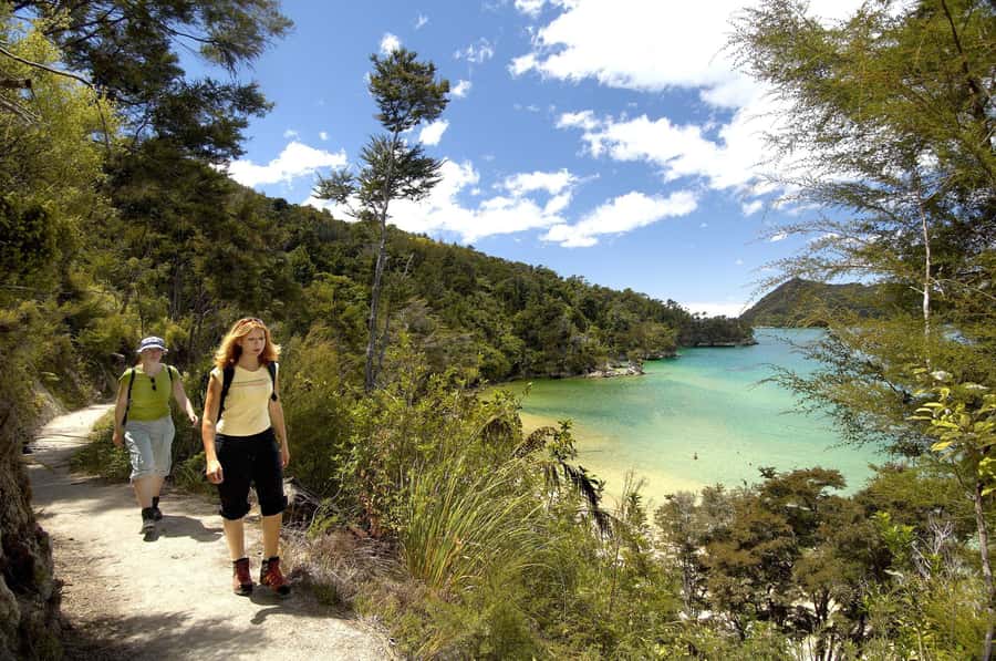 Abel Tasman National Park: Sailing and Self-Guided Walk - Catamaran Comfort, Crew Energy, and Wildlife Time