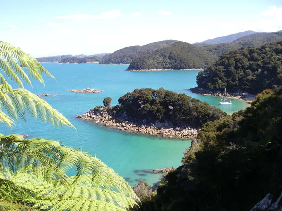 Abel Tasman National Park: Sailing and Self-Guided Walk - Anchorage Bay Lunch Stop: Where the Day Actually Breaks