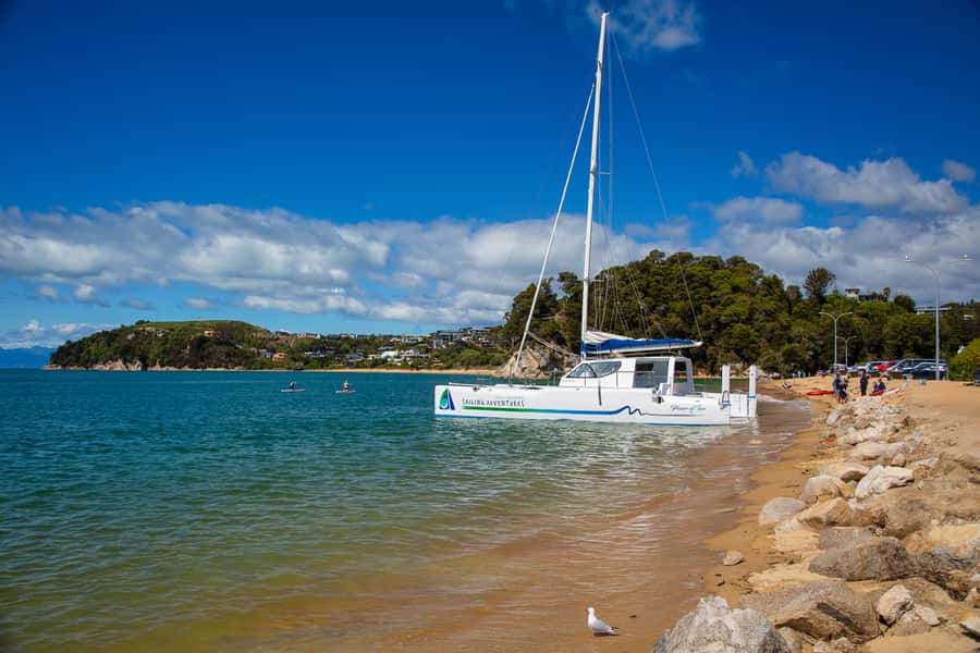 Abel Tasman National Park: Self-Guided Walk & Sailing - Should you book this Abel Tasman walk and sail?