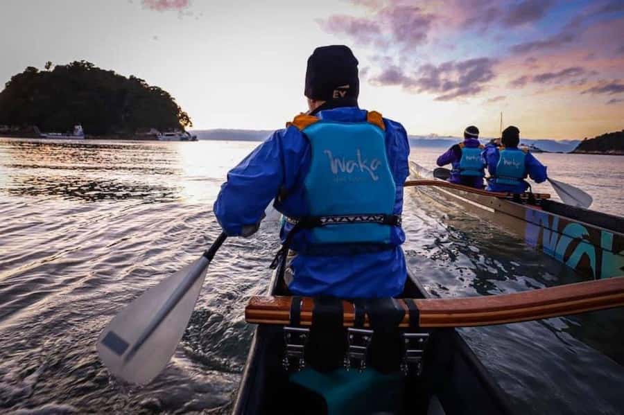 Abel Tasman National Park: Waka & Walk Tour - Quick hits to know before you go
