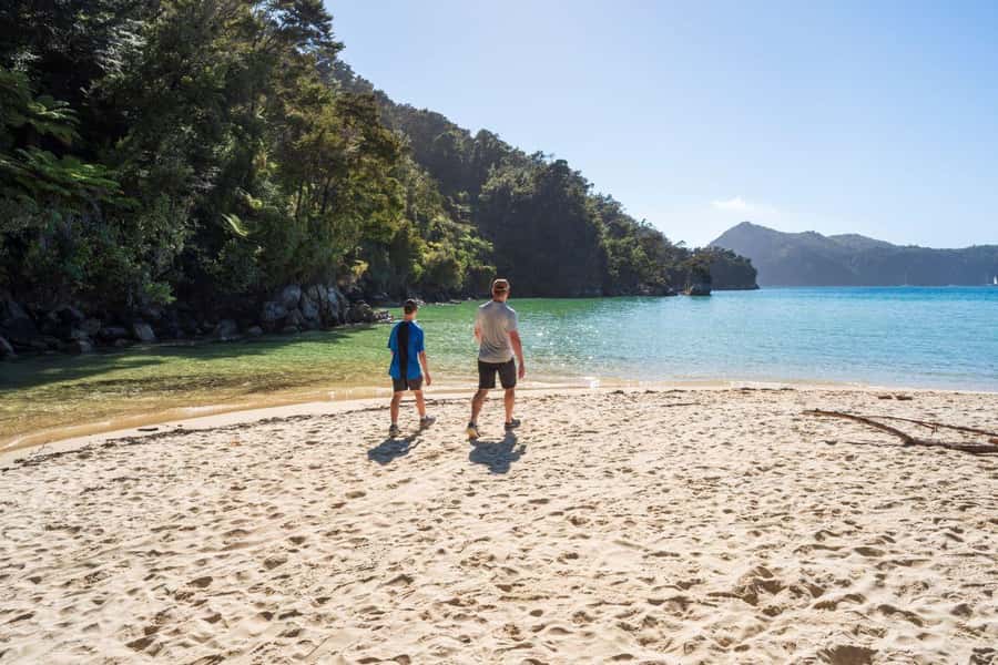 Abel Tasman National Park: Waka & Walk Tour - Lunch, snacks, and refreshment rhythm: energy for paddling and a hike