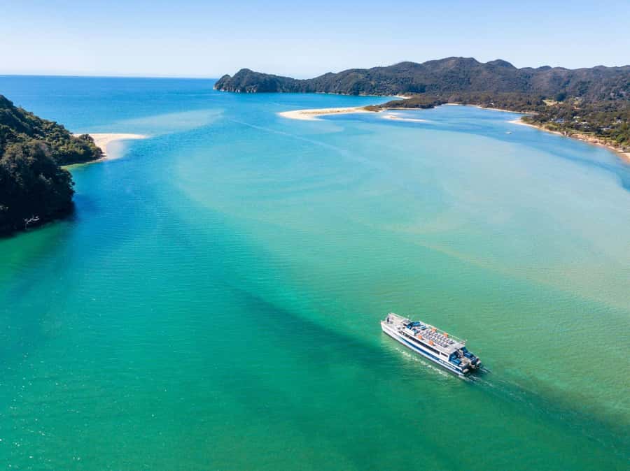 Abel Tasman: Sea Shuttle Cruise and Walking Tour Combo - Split Apple Rock and Adele Island seals: the two “don’t miss” cruise moments