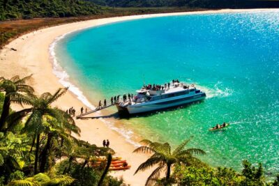Abel Tasman: Sea Shuttle Cruise and Walking Tour Combo