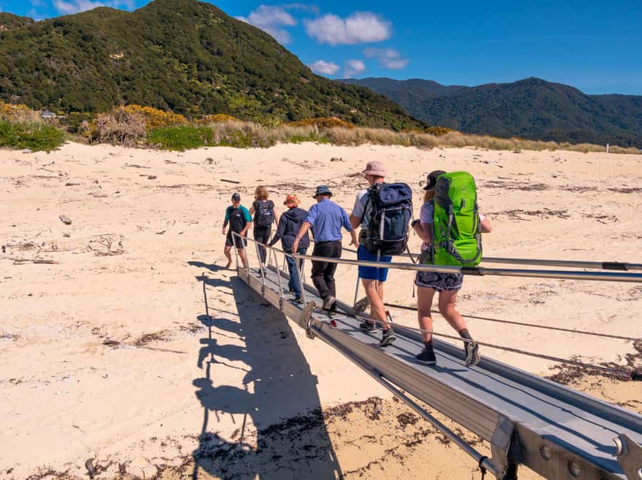 Abel Tasman: Sea Shuttle Cruise and Walking Tour Combo - Option A: Astrolabe Beaches and Bays (Apple Tree Bay to Anchorage)