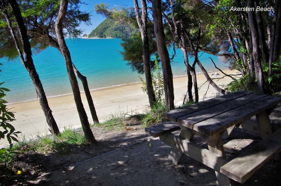 Abel Tasman: Sea Shuttle Cruise and Walking Tour Combo - Timing, tides, and why the pickup boat can make or break the day