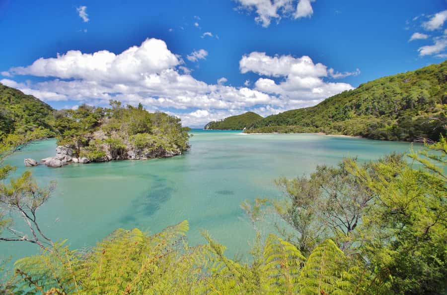 Abel Tasman: Sea Shuttle Cruise and Walking Tour Combo - Is this tour good value at around $74?