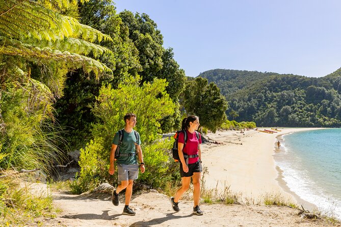 Abel Tasman Vista Cruise - Tonga Island Marine Reserve: marine-focused scenery, not just shorelines